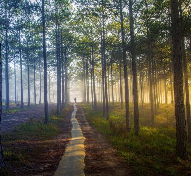 Explore the Great Outdoors with These Must-Have Travel Products Explore the Great Outdoors with These Must-Have Travel Products